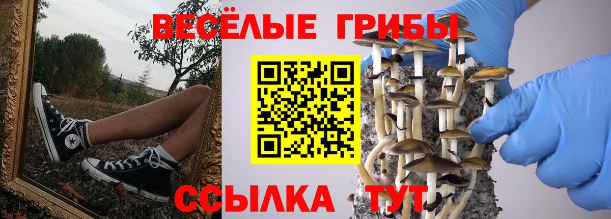 Псилоцибиновые грибы Magic Shrooms  Вход с VPN  Губаха  Галлюциногенные грибы MAGIC MUSHROOMS 