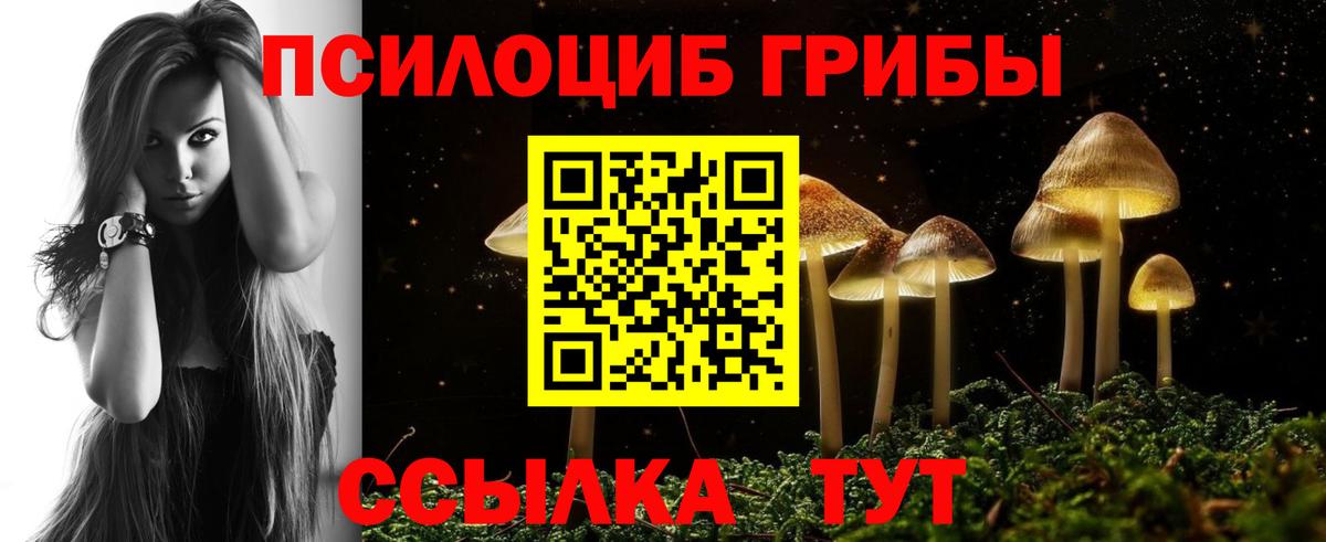 Магазины продажи наркотиков  Губаха  НБОМе  Вход с VPN  Меф МЯУ МЯУ   ГАШИШ  Каннабис  ГАШ 